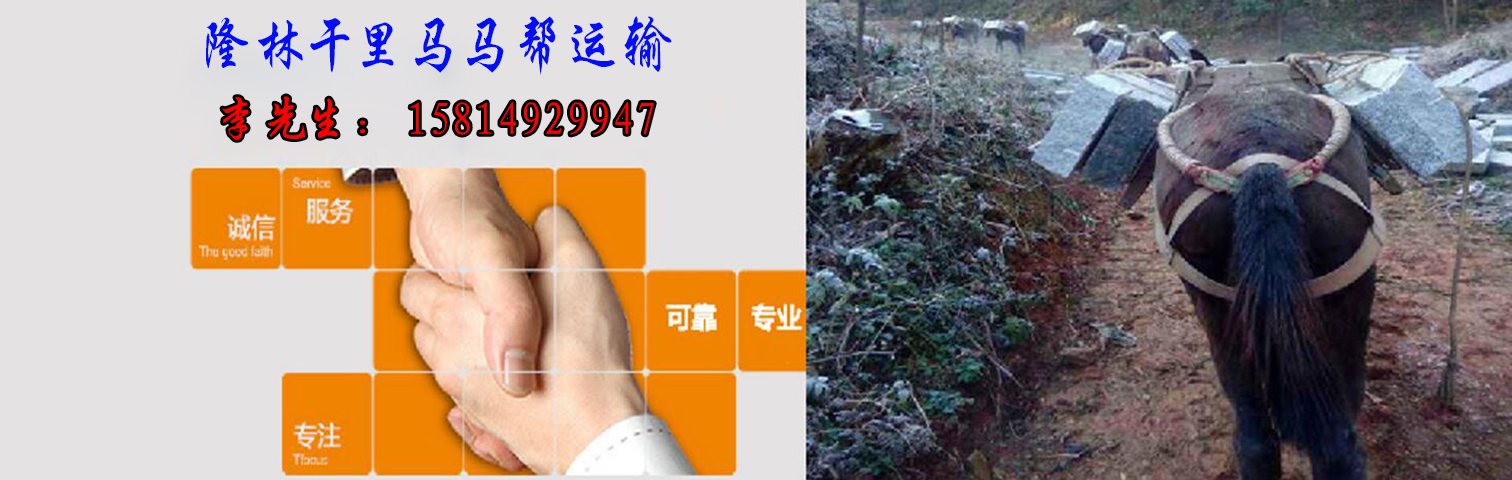 1540200609487069