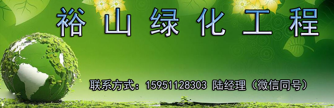 1542427128964560