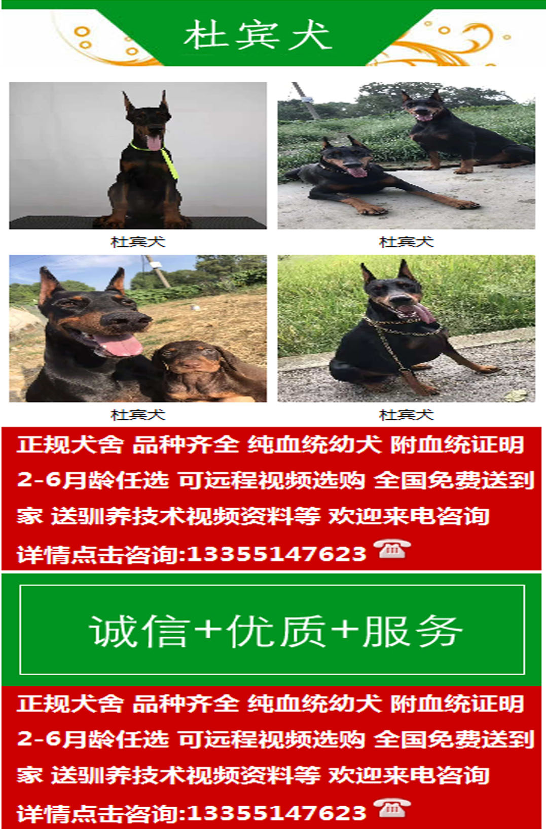 1542108851486002