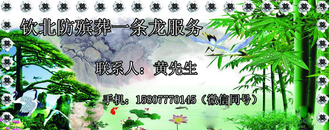 1542111008497386