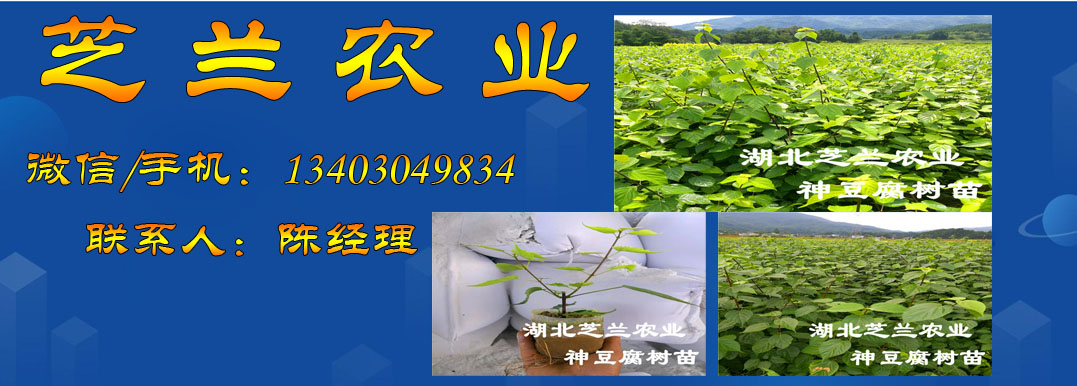 1543630616337442
