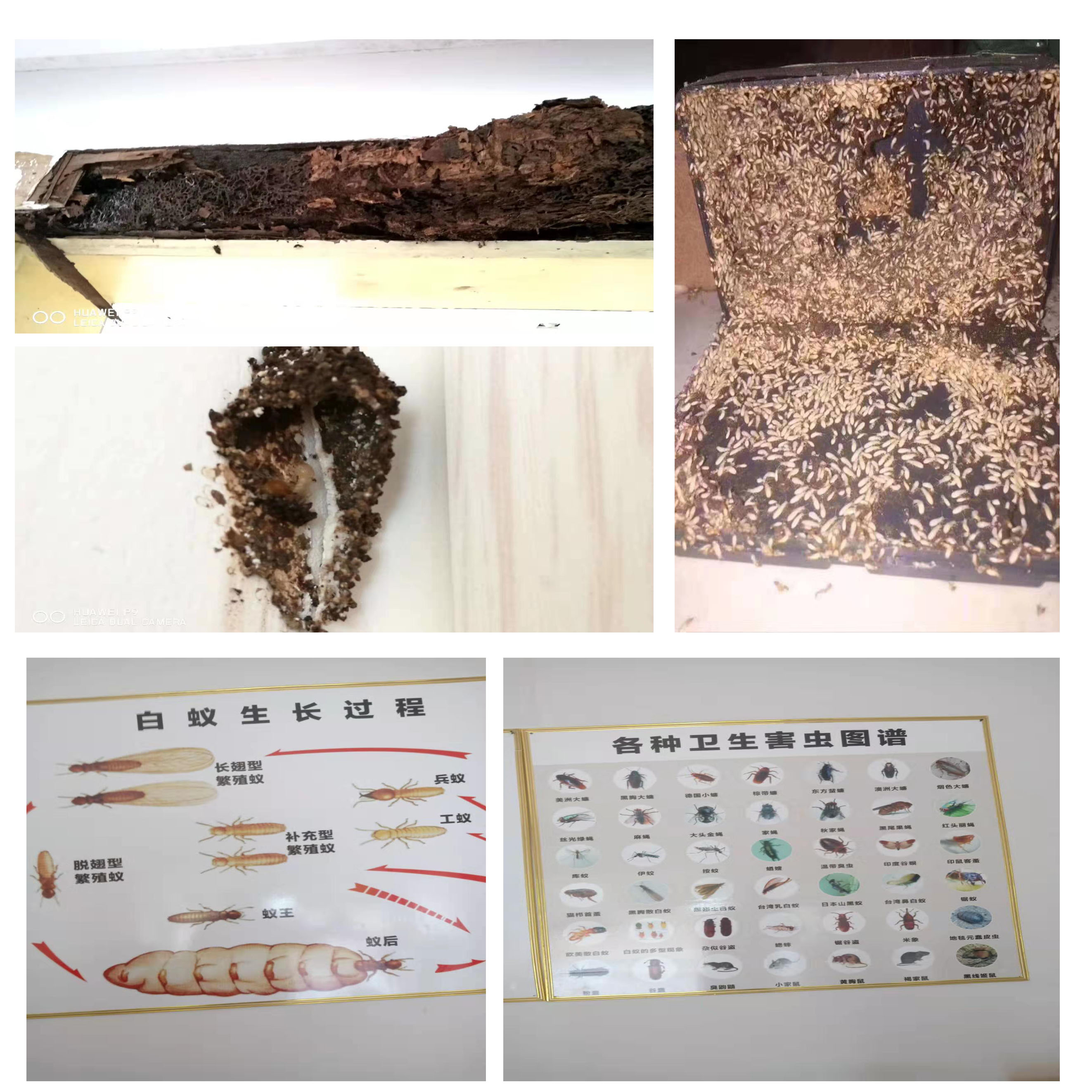 好模板.jpg