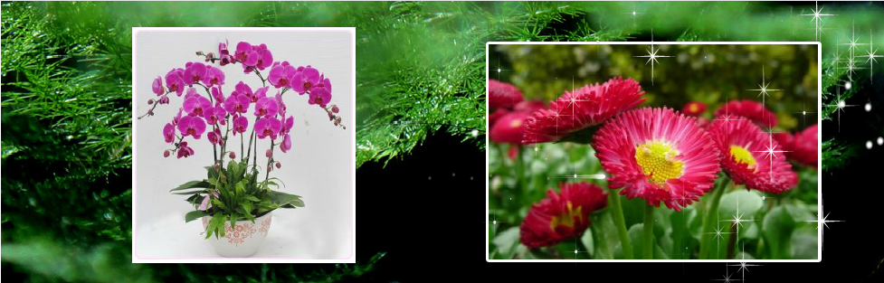 1a4680edd3360104ae93e324e75bf4b.png