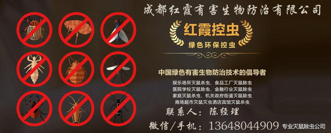 QQ截图20181124125443.jpg