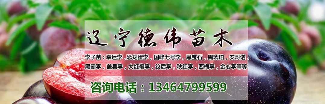 QQ截图20181201152022.jpg