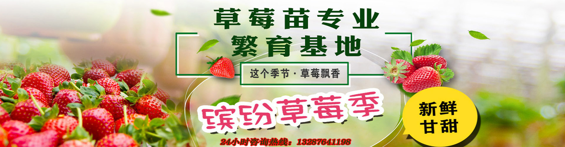 管轮.jpg