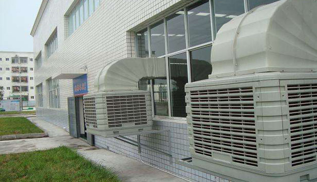 05.jpg